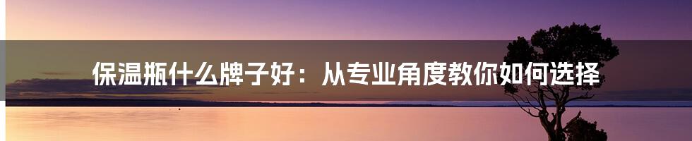 保温瓶什么牌子好：从专业角度教你如何选择