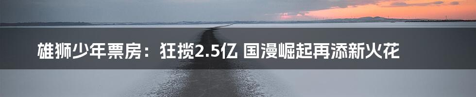 雄狮少年票房：狂揽2.5亿 国漫崛起再添新火花