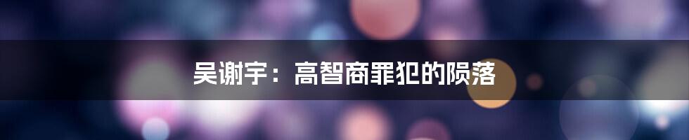 吴谢宇：高智商罪犯的陨落