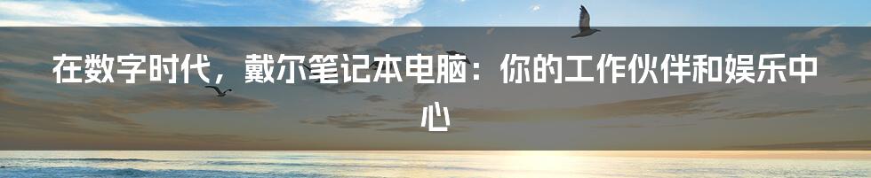 在数字时代，戴尔笔记本电脑：你的工作伙伴和娱乐中心