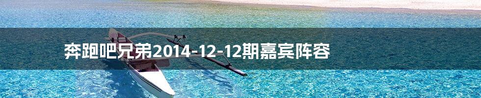 奔跑吧兄弟2014-12-12期嘉宾阵容