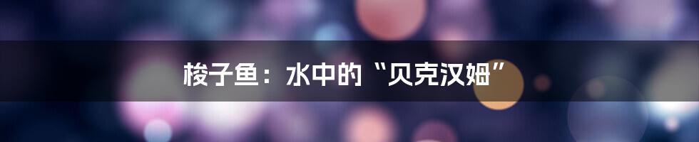 梭子鱼:水中的“贝克汉姆”