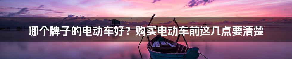 哪个牌子的电动车好？购买电动车前这几点要清楚