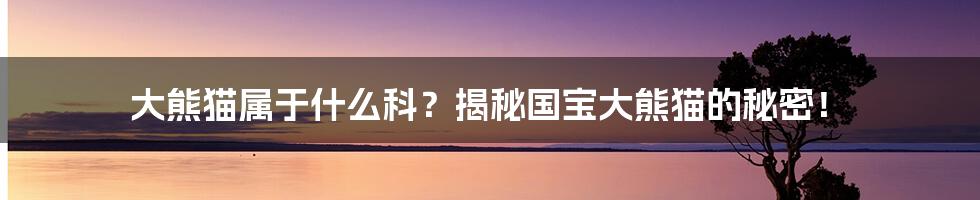 大熊猫属于什么科？揭秘国宝大熊猫的秘密！