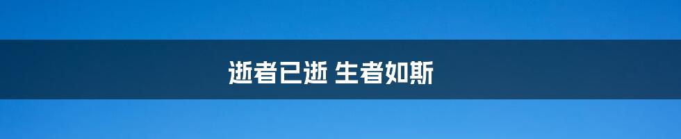 逝者已逝 生者如斯