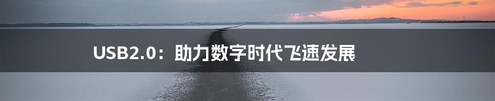USB2.0:助力数字时代飞速发展