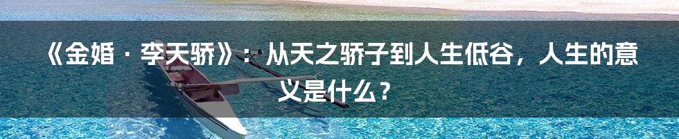 《金婚·李天骄》：从天之骄子到人生低谷，人生的意义是什么？