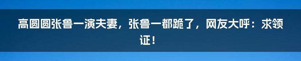 高圆圆张鲁一演夫妻，张鲁一都跪了，网友大呼：求领证！