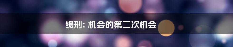 缓刑: 机会的第二次机会