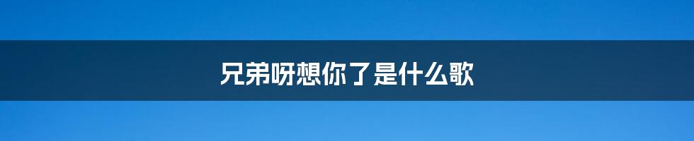 兄弟呀想你了是什么歌