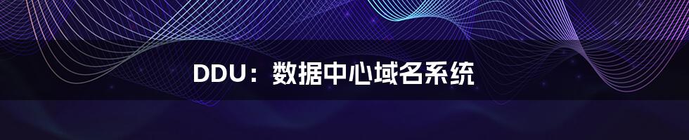 DDU:数据中心域名系统