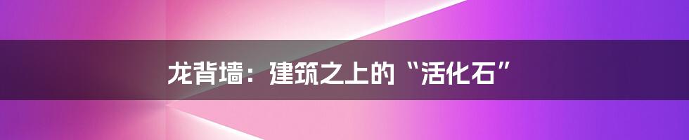 龙背墙：建筑之上的“活化石”