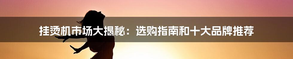 挂烫机市场大揭秘：选购指南和十大品牌推荐