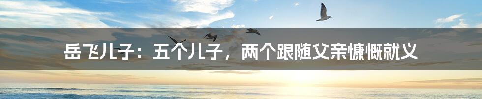 岳飞儿子:五个儿子,两个跟随父亲慷慨就义
