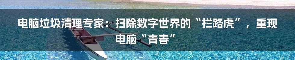 电脑垃圾清理专家：扫除数字世界的“拦路虎”，重现电脑“青春”