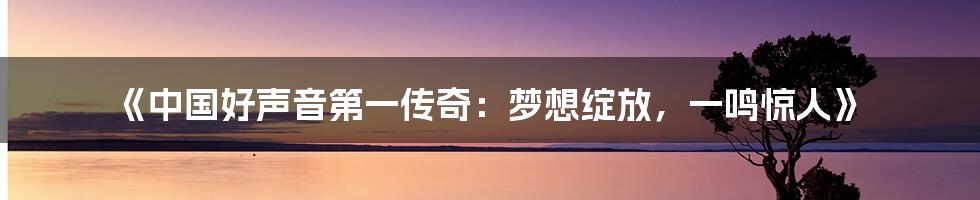 《中国好声音第一传奇：梦想绽放，一鸣惊人》