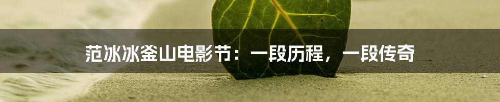 范冰冰釜山电影节:一段历程,一段传奇