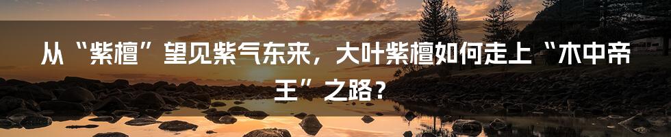 从“紫檀”望见紫气东来,大叶紫檀如何走上“木中帝王”之路?