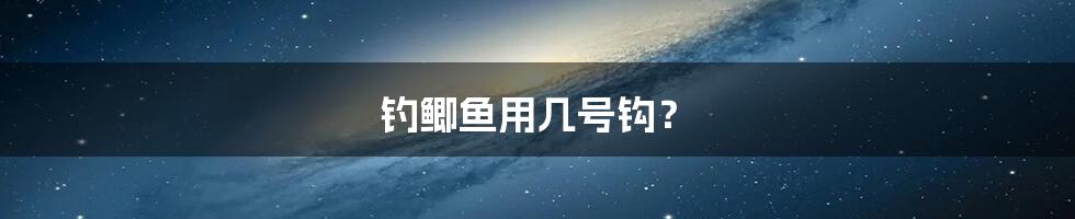 钓鲫鱼用几号钩?