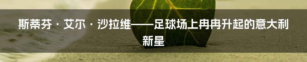 斯蒂芬·艾尔·沙拉维——足球场上冉冉升起的意大利新星