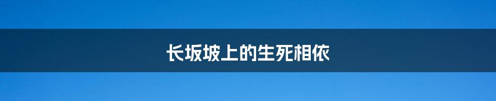 长坂坡上的生死相依