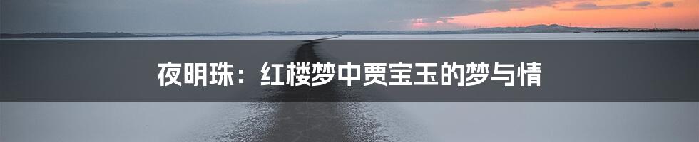 夜明珠：红楼梦中贾宝玉的梦与情