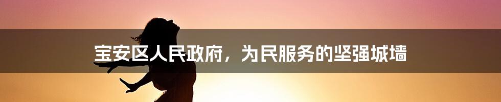 宝安区人民政府，为民服务的坚强城墙