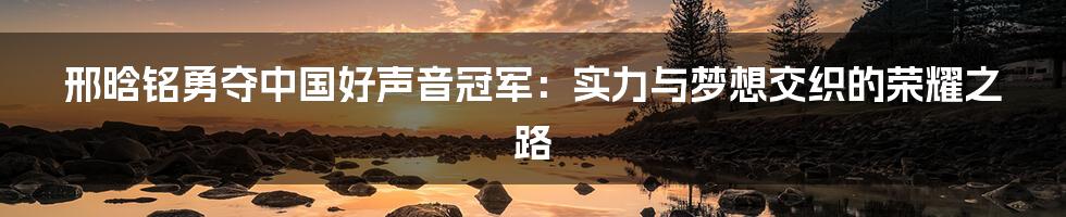 邢晗铭勇夺中国好声音冠军：实力与梦想交织的荣耀之路