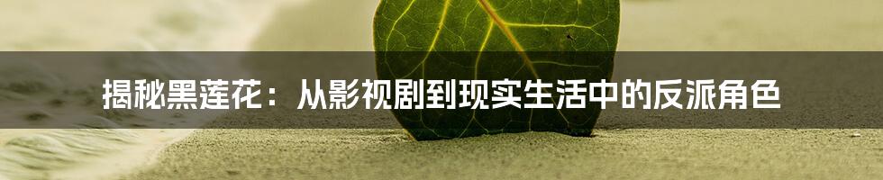 揭秘黑莲花：从影视剧到现实生活中的反派角色