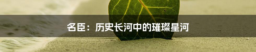 名臣：历史长河中的璀璨星河