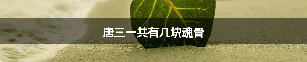 唐三一共有几块魂骨