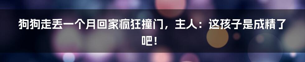 狗狗走丢一个月回家疯狂撞门,主人:这孩子是成精了吧!