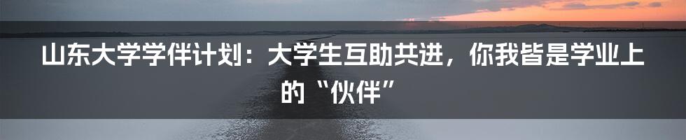 山东大学学伴计划：大学生互助共进，你我皆是学业上的“伙伴”