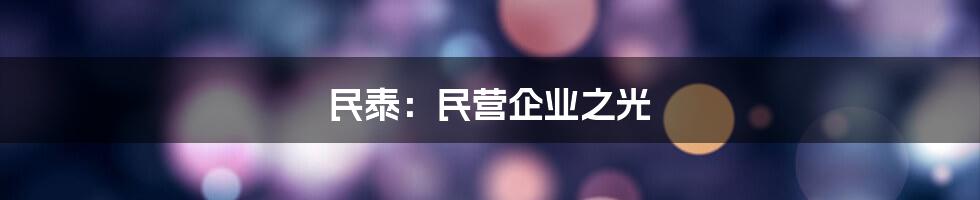 民泰：民营企业之光