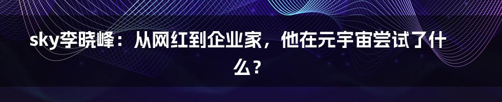 sky李晓峰：从网红到企业家，他在元宇宙尝试了什么？