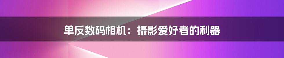 单反数码相机：摄影爱好者的利器