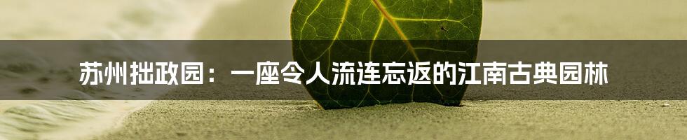 苏州拙政园：一座令人流连忘返的江南古典园林