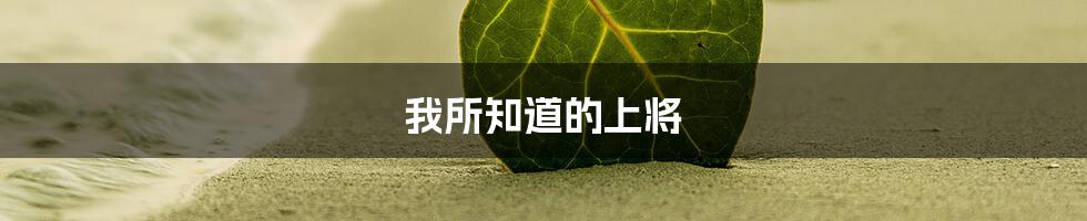我所知道的上将