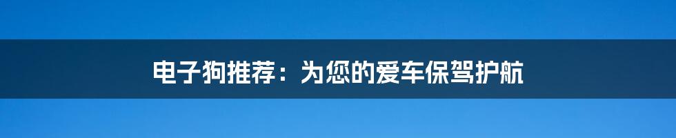 电子狗推荐：为您的爱车保驾护航