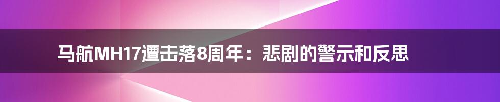 马航MH17遭击落8周年：悲剧的警示和反思