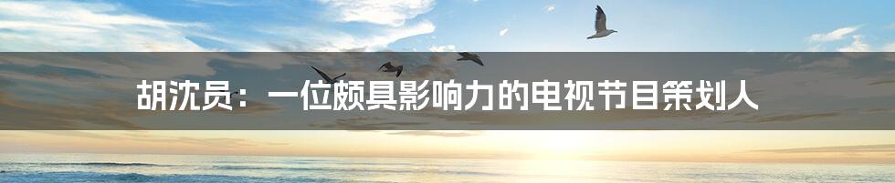 胡沈员:一位颇具影响力的电视节目策划人