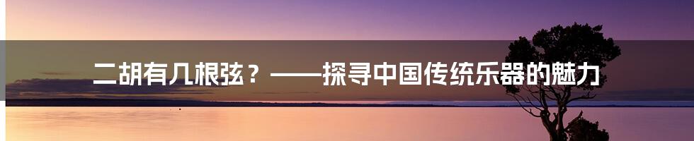 二胡有几根弦？——探寻中国传统乐器的魅力