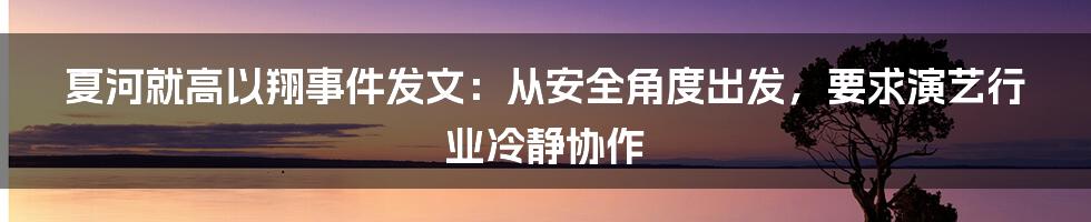 夏河就高以翔事件发文：从安全角度出发，要求演艺行业冷静协作