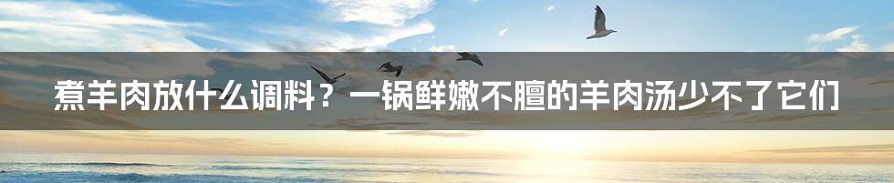 煮羊肉放什么调料?一锅鲜嫩不膻的羊肉汤少不了它们