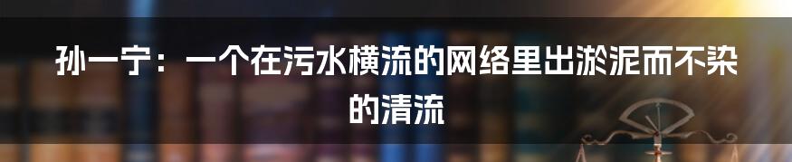孙一宁:一个在污水横流的网络里出淤泥而不染的清流