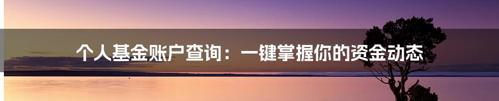 个人基金账户查询：一键掌握你的资金动态