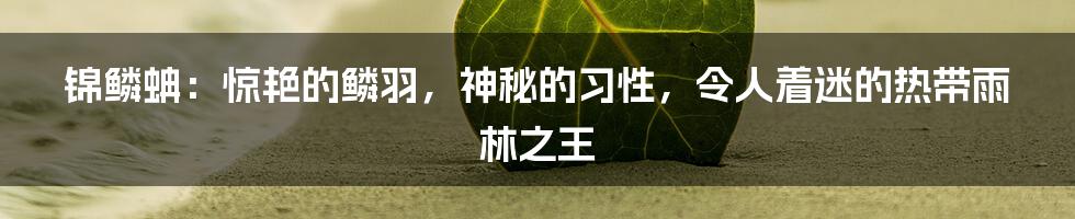 锦鳞蚺：惊艳的鳞羽，神秘的习性，令人着迷的热带雨林之王