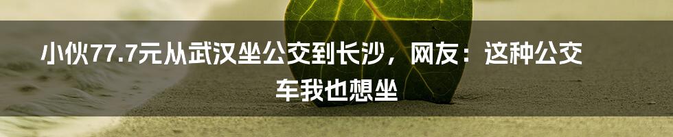 小伙77.7元从武汉坐公交到长沙，网友：这种公交车我也想坐