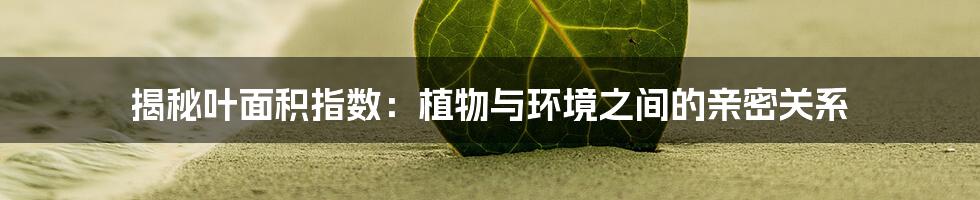 揭秘叶面积指数：植物与环境之间的亲密关系