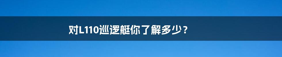 对L110巡逻艇你了解多少？